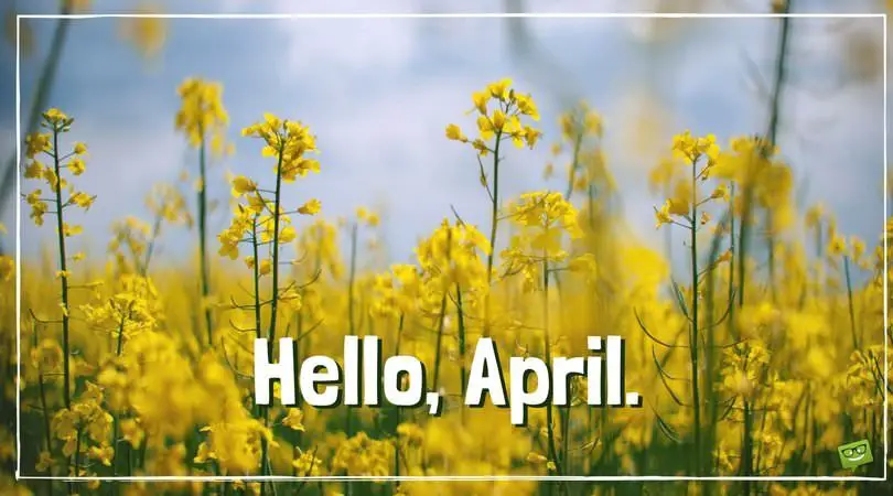 Hello, April. 