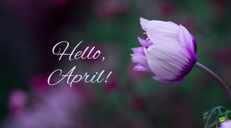 Hello, April! | In April Fools' Day Pranks We Trust