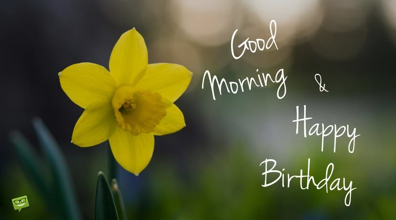 Wake Up, It's Your Day! | Good Morning and Happy Birthday