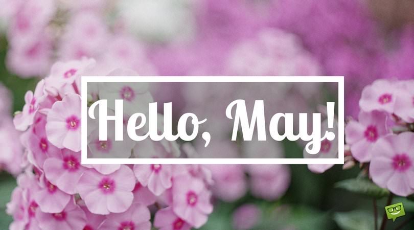 Hello, May Quotes About Spring in Bloom Hello, May Quotes About Spring in Bloom