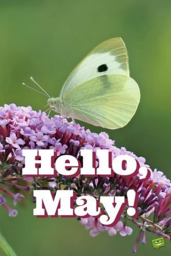 Hello, May.