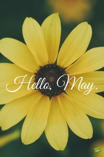 Hello, May.