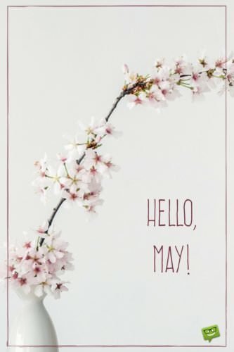 Hello, May!