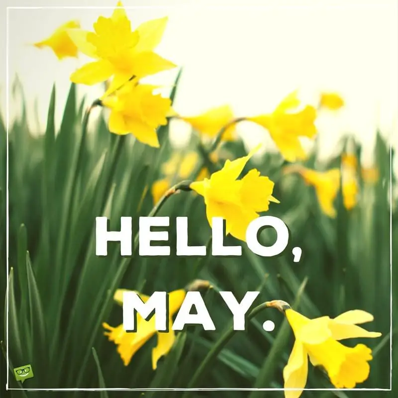 Hello, May  Quotes About Spring in Bloom