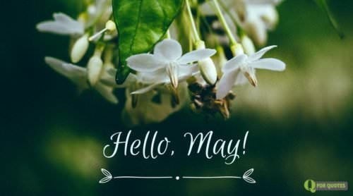 Hello, May!