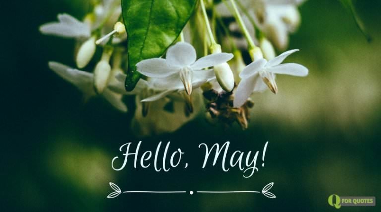 50 Hello May Quotes and Images to Greet Spring in Bloom
