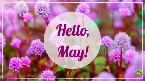 Hello, May.