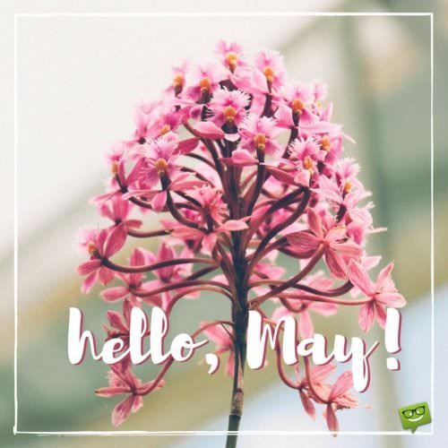 Hello, May!