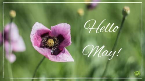 Hello, May!