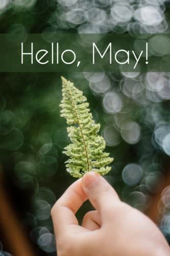 Hello, May.