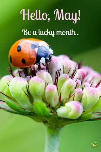 Hello, May! Be a lucky month.