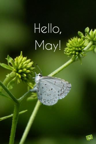 Hello, May!