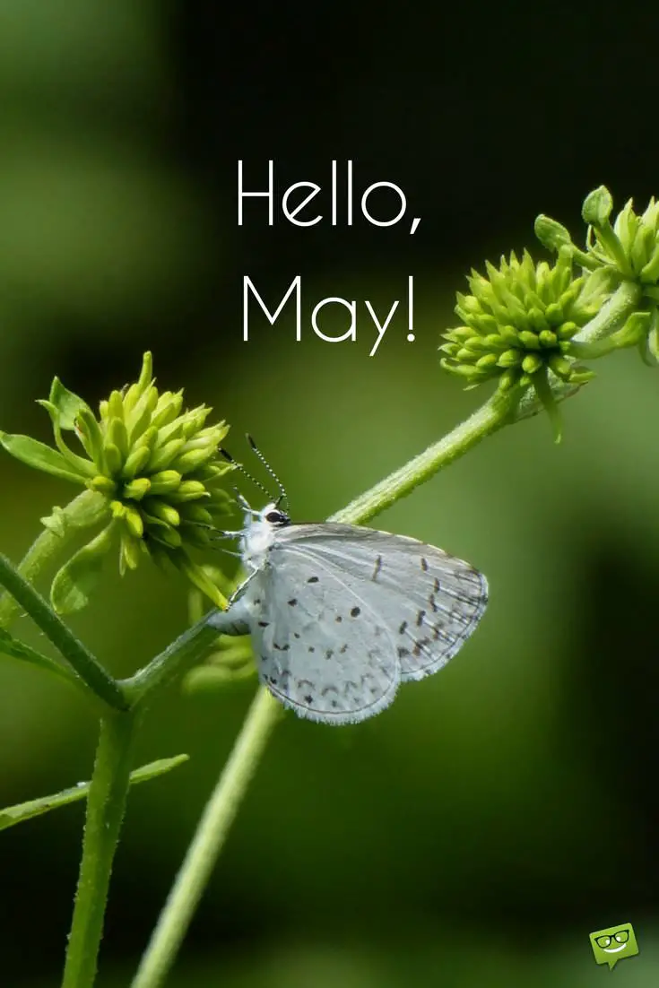 Hello, May  Quotes About Spring in Bloom - Part 2