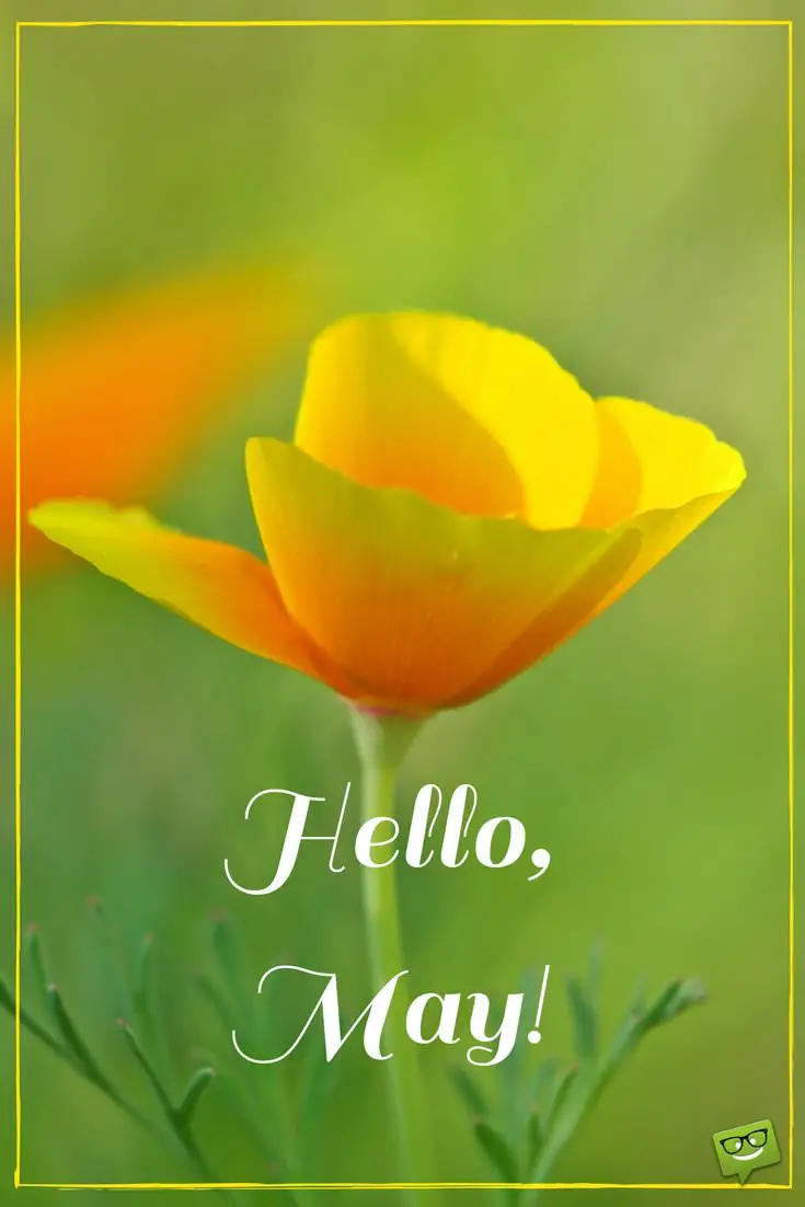 Hello, May  Quotes About Spring in Bloom - Part 2