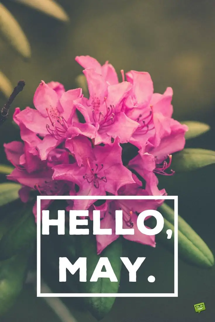 Hello, May  Quotes About Spring in Bloom - Part 2