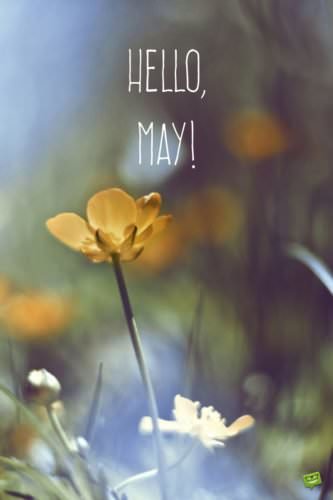 Hello, May!