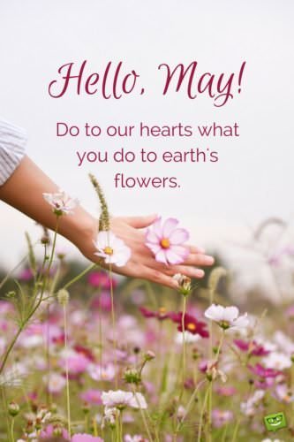 Wishful quote about May on photo with beautiful flowers. | Birthday Wishes Expert Hello, May! Do to our hearts what you do to earth's flowers.