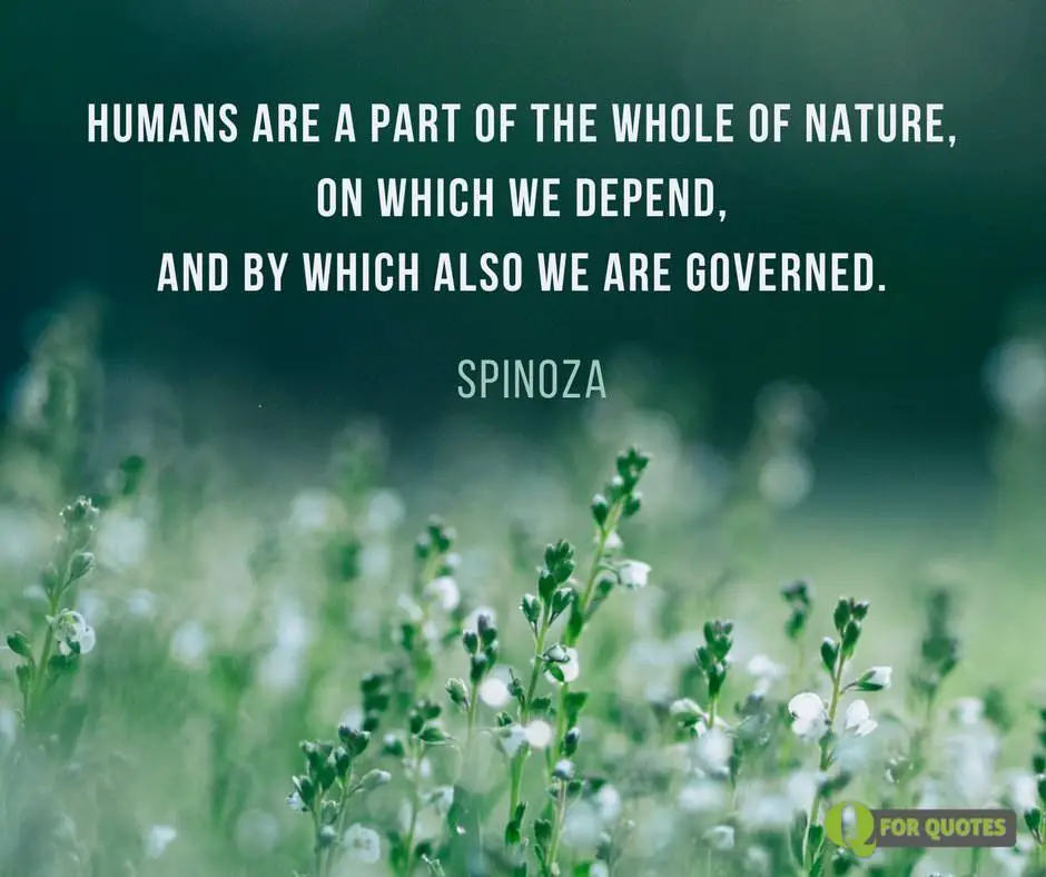 50 Insightful Famous Quotes about the Environment