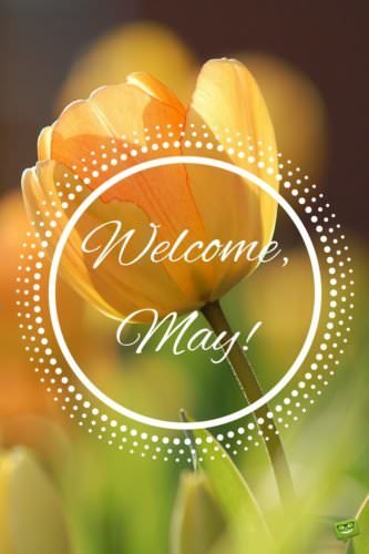 Welcome, May.