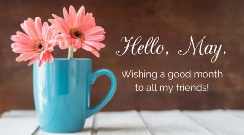 Hello, May. Wishing a good month to all my friends.