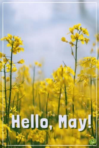 Hello, May!