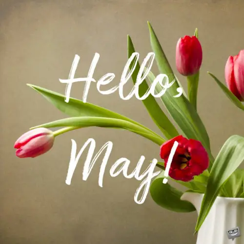 Hello, May | Quotes About Spring in Bloom