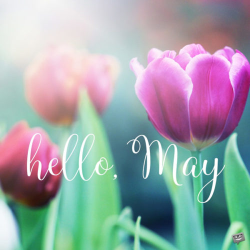 Hello, May.