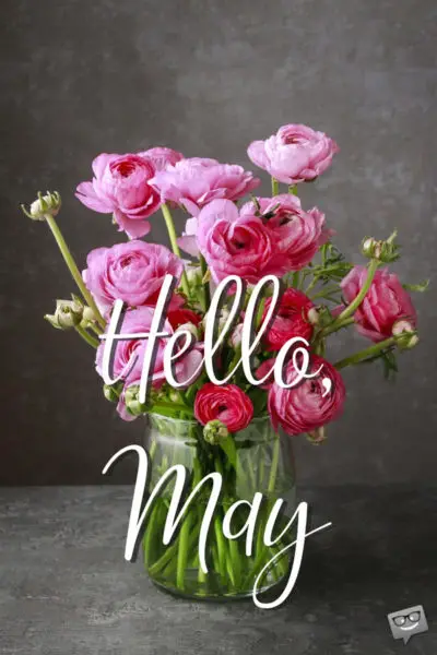 Hello, May.