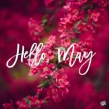 50 Hello May Quotes and Images to Greet Spring in Bloom