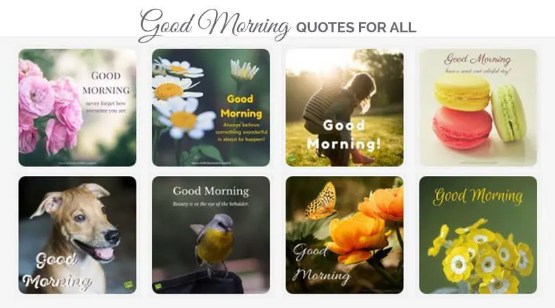 Good Morning Quotes and Wishes for All.