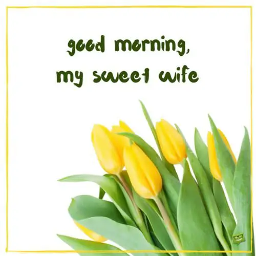 Good Morning Quotes for your Wife