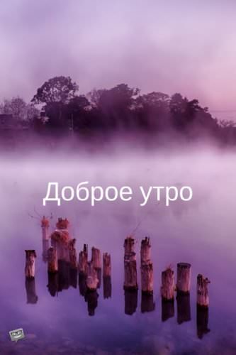 Dobroe Utro Good Morning In Russian