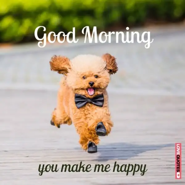 24 of the Most Popular Good Morning Quotes For Your Love 24 of the Most Popular Good Morning Quotes For Your Love