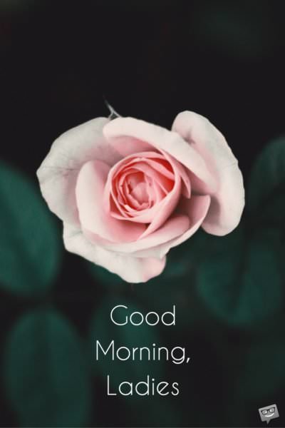 Good morning, Ladies. | Birthday Wishes Expert Good morning, Ladies.