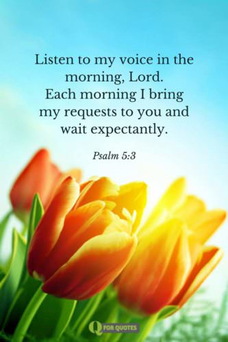 Listen to my voice in the morning, Lord. Each morning I bring my requests to you and wait expectantly. Psalm 5:3.