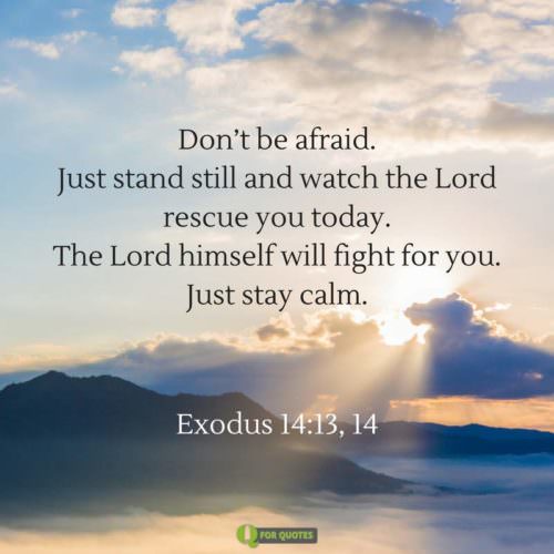 Don’t be afraid Just stand still and watch the Lord rescue you today The Lord himself will fight for you Just stay calm. Exodus 14:13.