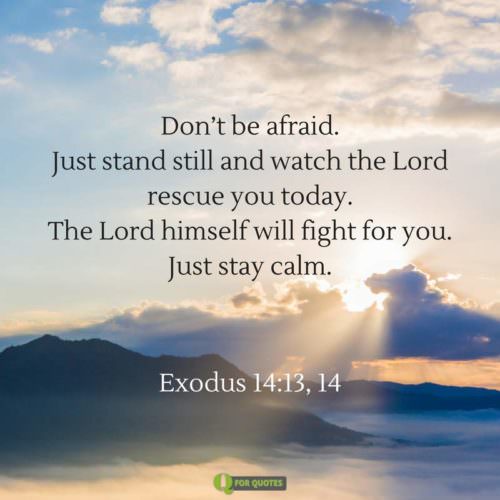 Don’t be afraid Just stand still and watch the Lord rescue you today The Lord himself will fight for you Just stay calm. Exodus 14:13. | Birthday Wishes Expert Don’t be afraid Just stand still and watch the Lord rescue you today The Lord himself will fight for you Just stay calm. Exodus 14:13.
