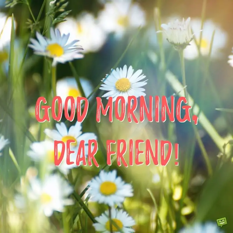 16+1 Most Popular Good Morning Quotes For Friends