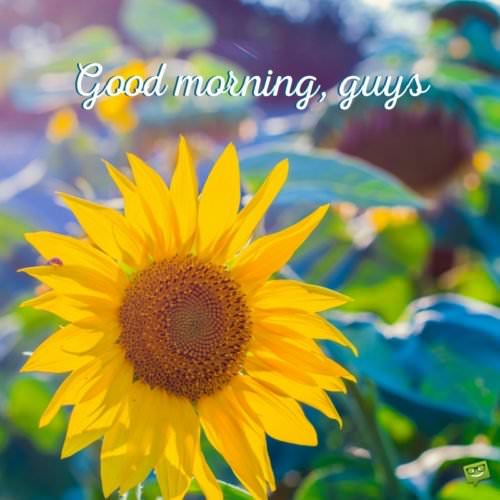Good morning, guys. | Birthday Wishes Expert Good morning, guys.