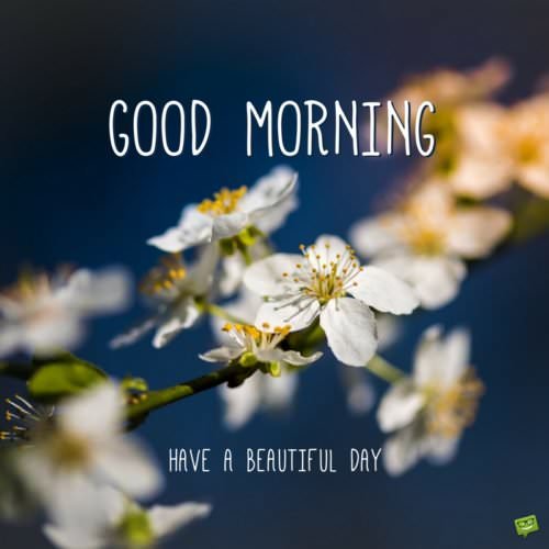 Good Morning Pics A New Day Starts
