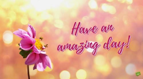 Have an amazing day.