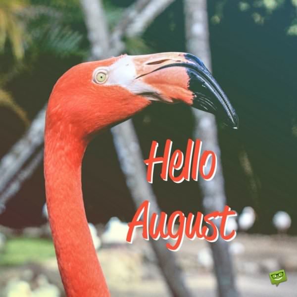 Hello, August.