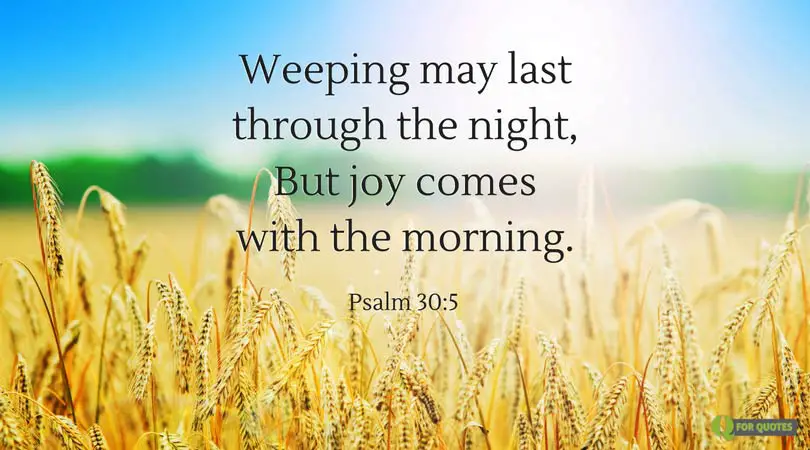 Weeping may last through the night, but joy comes with the morning. Psalm 30:5