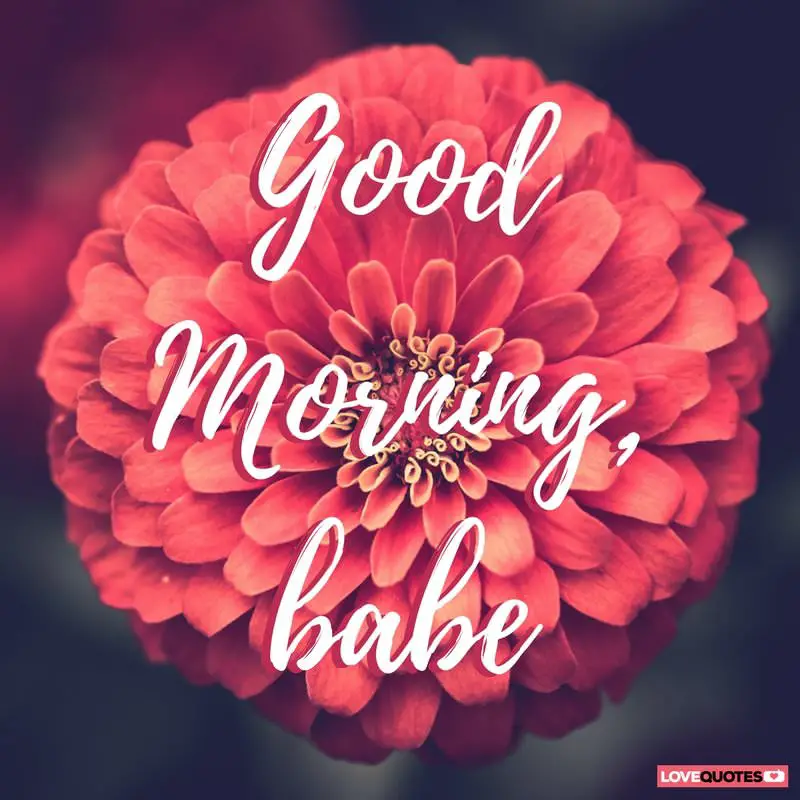 24 of the Most Popular Good Morning Quotes For Your Love