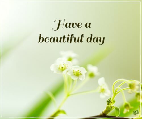 Have a beautiful day.