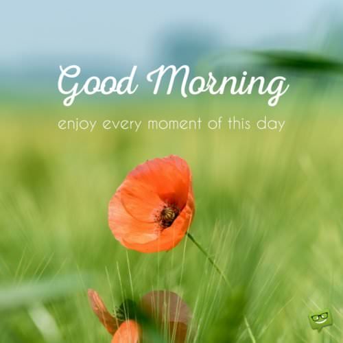 Good morning. Enjoy every moment of this day.