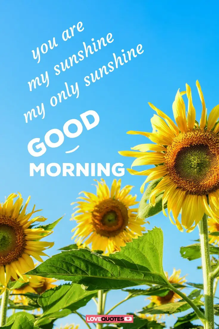 24 of the Most Popular Good Morning Quotes For Your Love