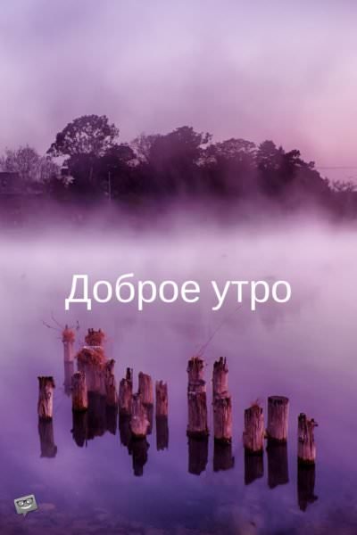 16+1 Most Popular Good Morning Quotes For Friends