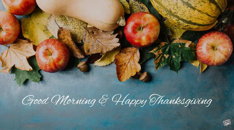 Good Morning and Happy Thanksgiving!