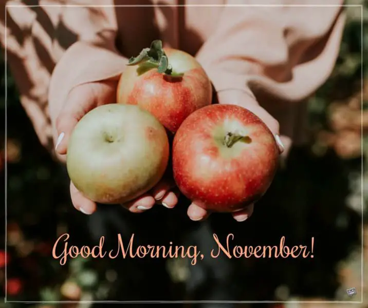 Good Morning, November!